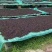 浙江黑梅干菜三蒸三晒，香味浓，大量供应，量大从优欢迎进店