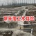 优质木耳丝食用菌干货螺丝粉拉面食堂鸡汤专用