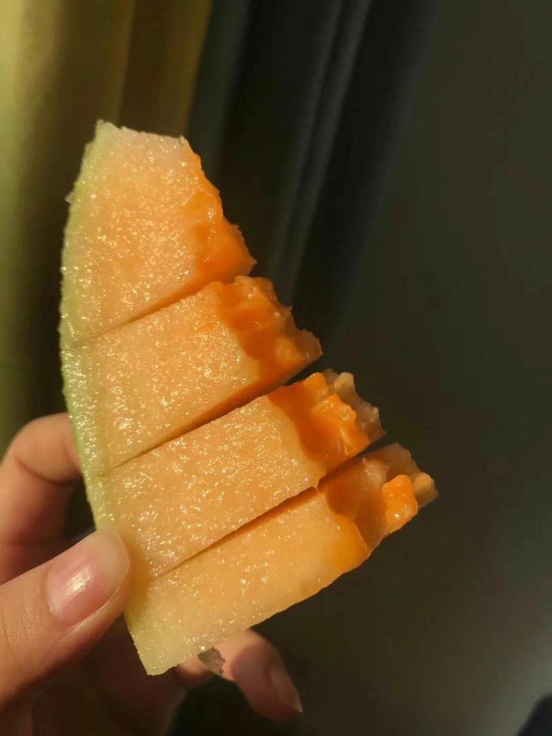 吐鲁番哈密瓜(昼夜温差大，糖度高)