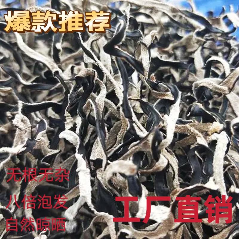 优质木耳丝食用菌干货螺丝粉拉面食堂鸡汤专用