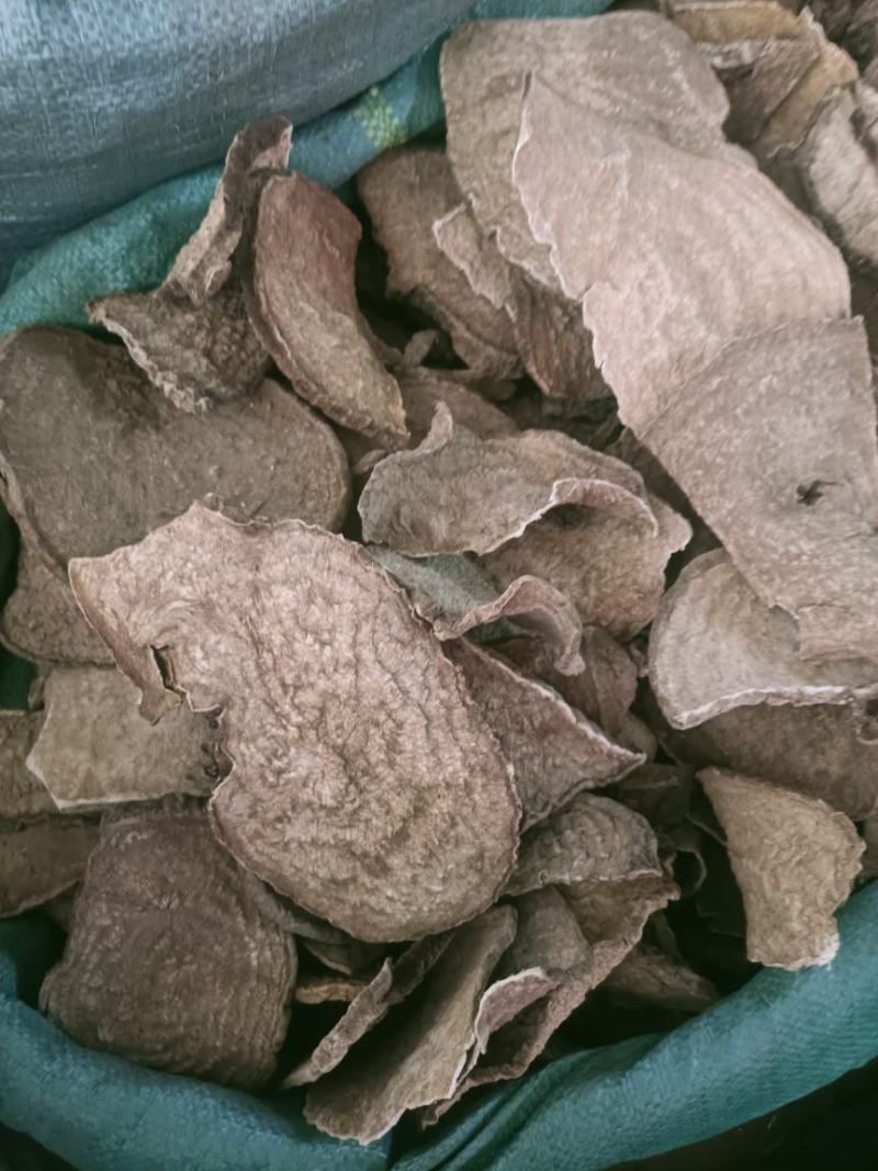 千金藤，中药材千金藤根金钱吊乌龟质量保证！