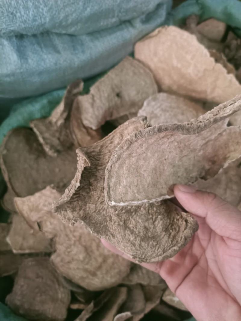 千金藤，中药材千金藤根金钱吊乌龟质量保证！