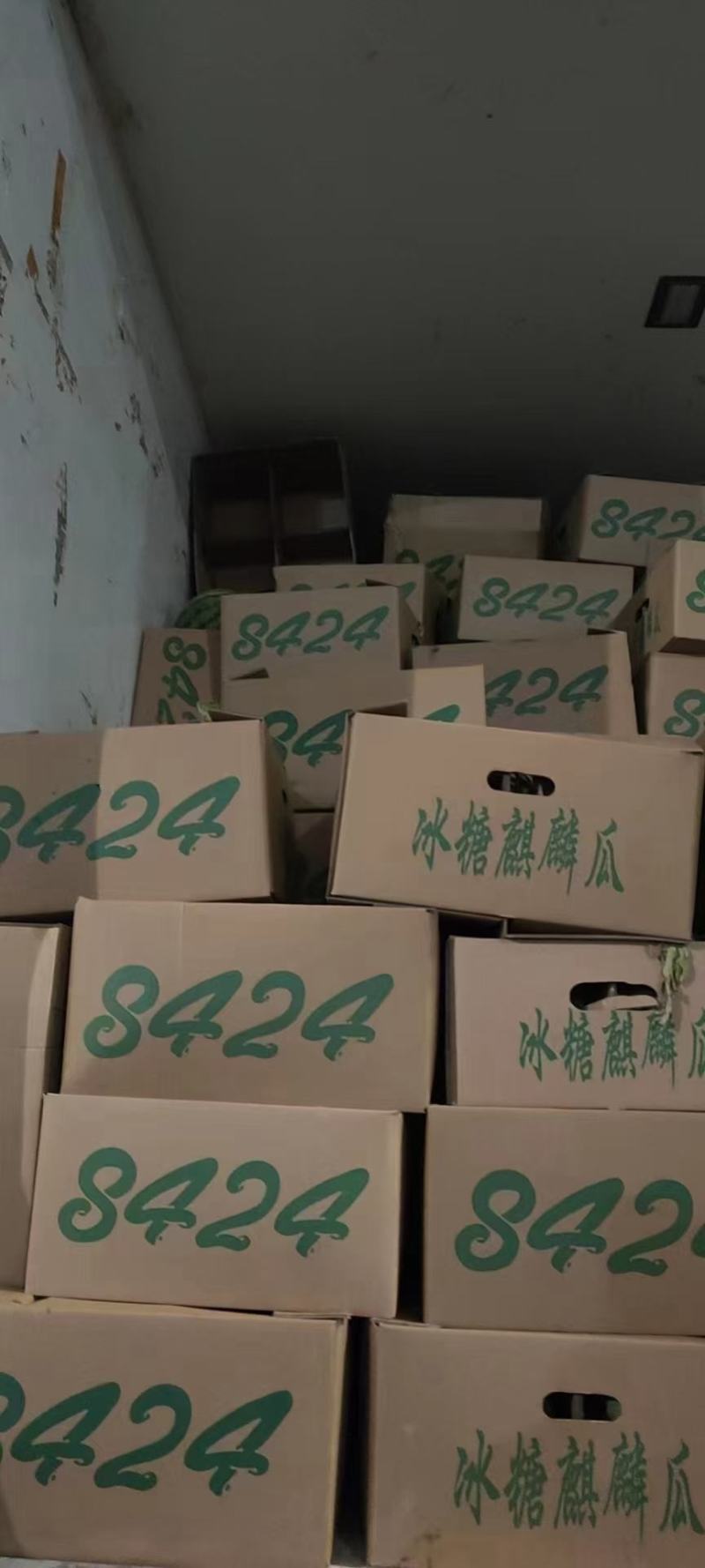 精品8424