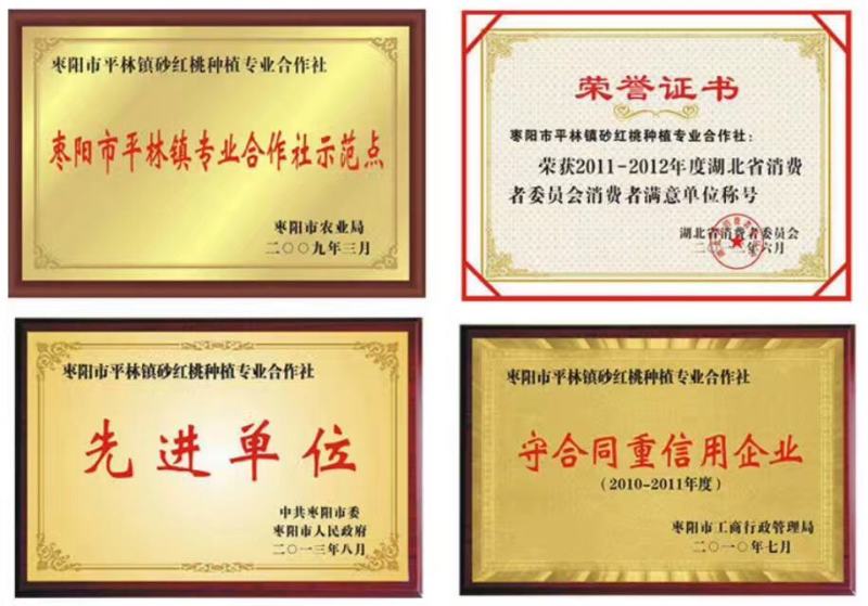 湖北油桃/露天桃/中油系列/大型桃子交易市场/冷库/吃住
