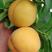 千亩锦绣黄桃，低价出售，果面干净，糖分17.5
