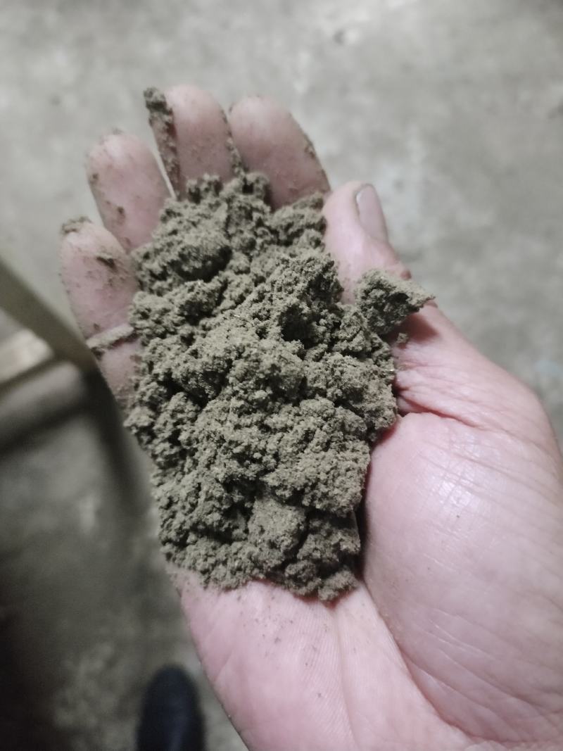 专业生产不同的艾草制品，不同比例的艾灸条，艾粉大量批发