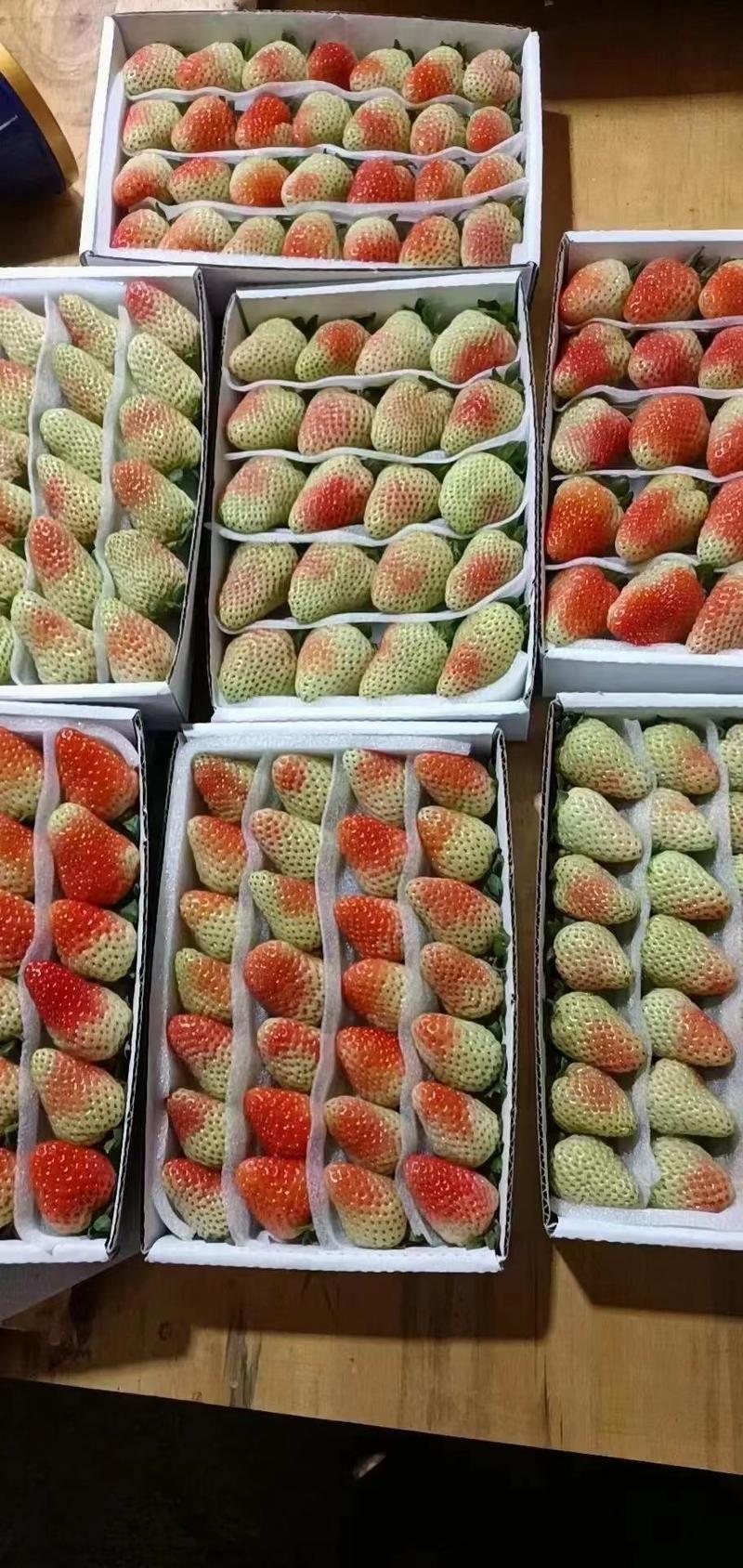 云南夏季草莓3*5