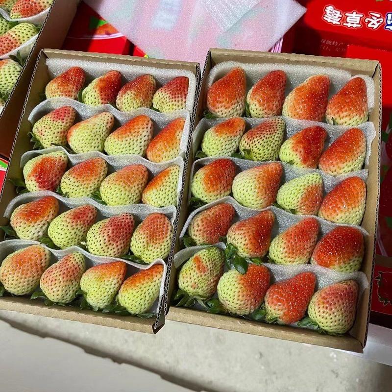 云南蒙特瑞草莓4*5