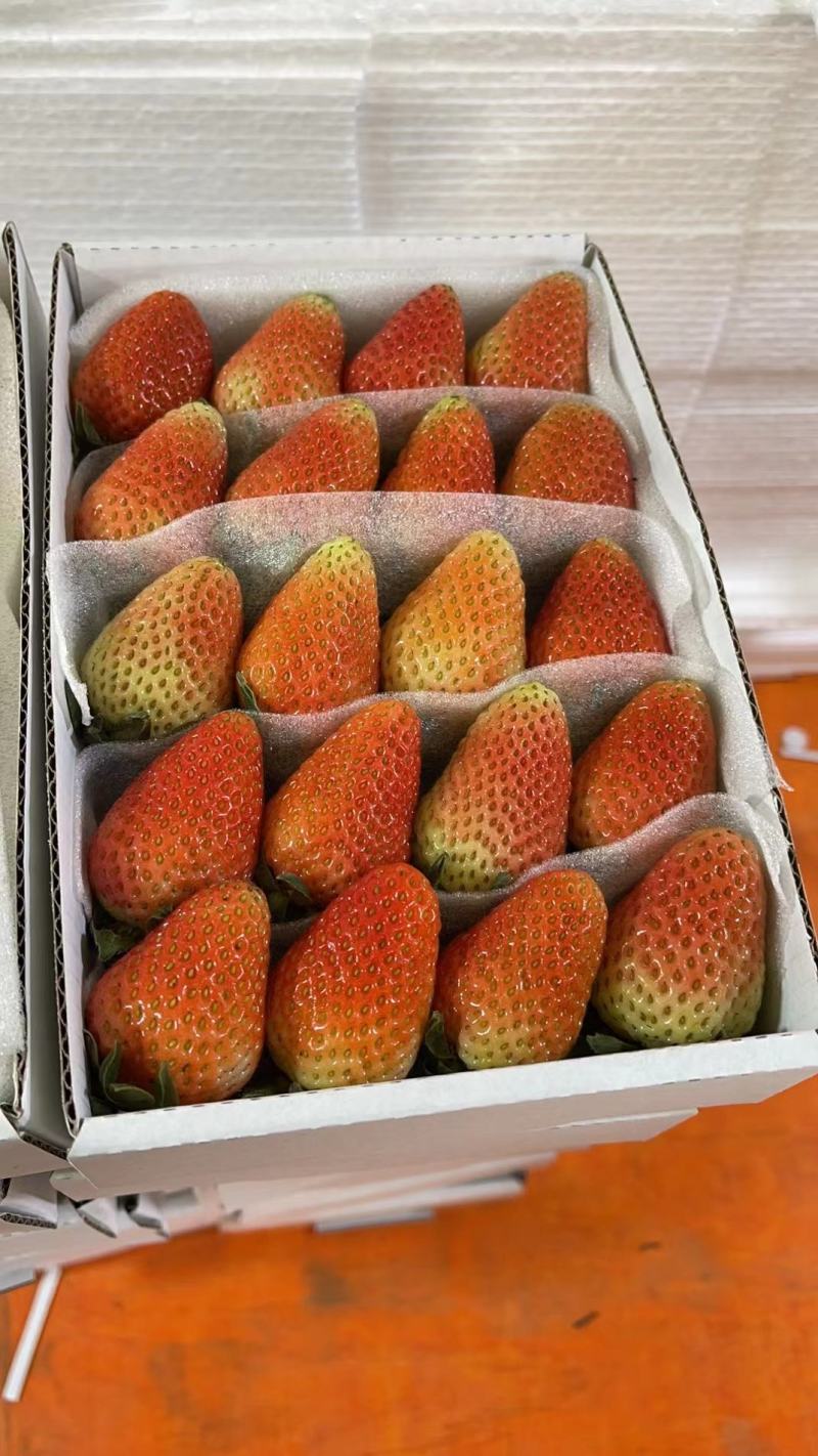 云南蒙特瑞草莓4*5