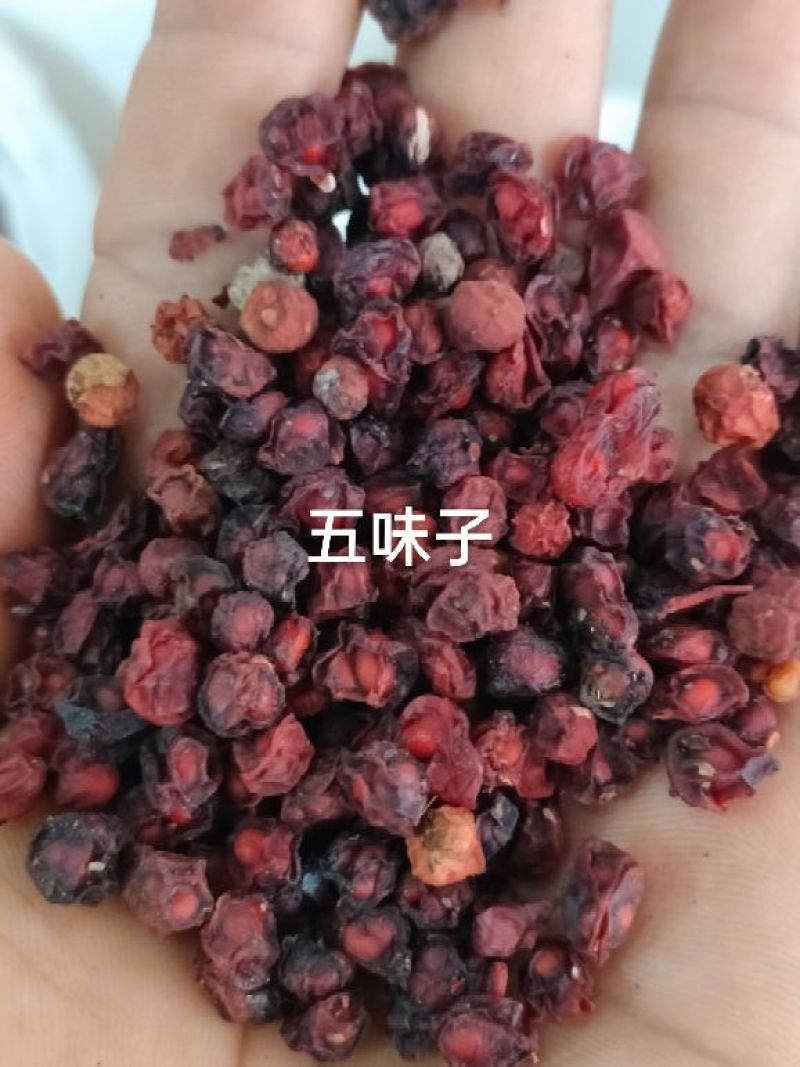 五味子北五味辽五味