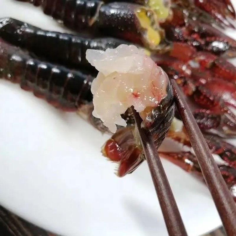 潜江小龙虾特大养殖户虾肉饱满不满意全额退款诚信经营