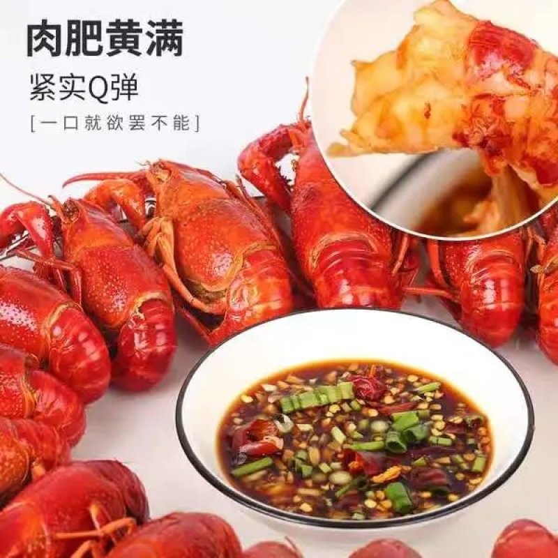潜江小龙虾特大养殖户虾肉饱满不满意全额退款诚信经营