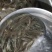 优质鲈鱼苗8厘米加州鲈鱼苗路亚苗大口黑鲈鱼苗冷水淡水养殖