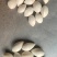 干银杏果，当年新果颗粒大
