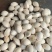 干银杏果，当年新果颗粒大