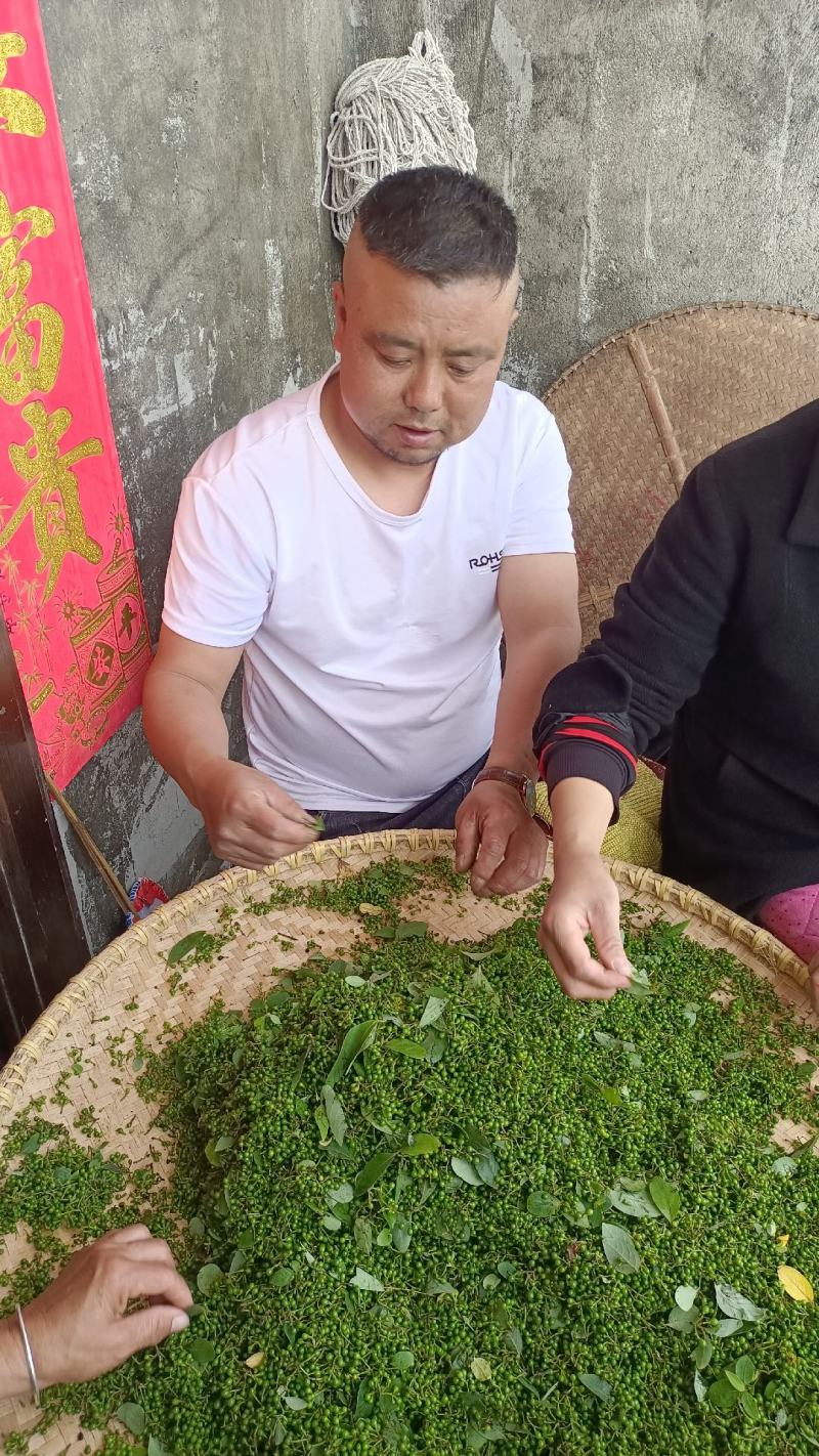 山胡椒