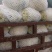 陕西省三原县松花大量上市