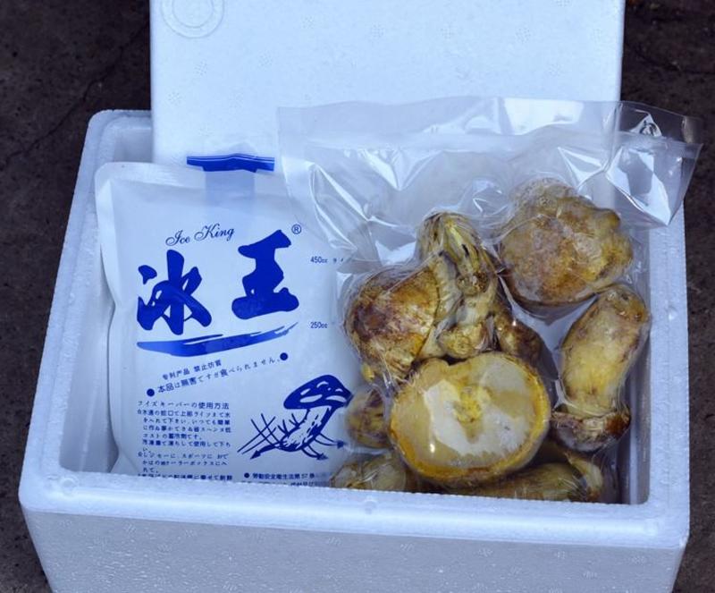 【速冻白葱菌】肉质厚实香味浓郁坏菌包赔