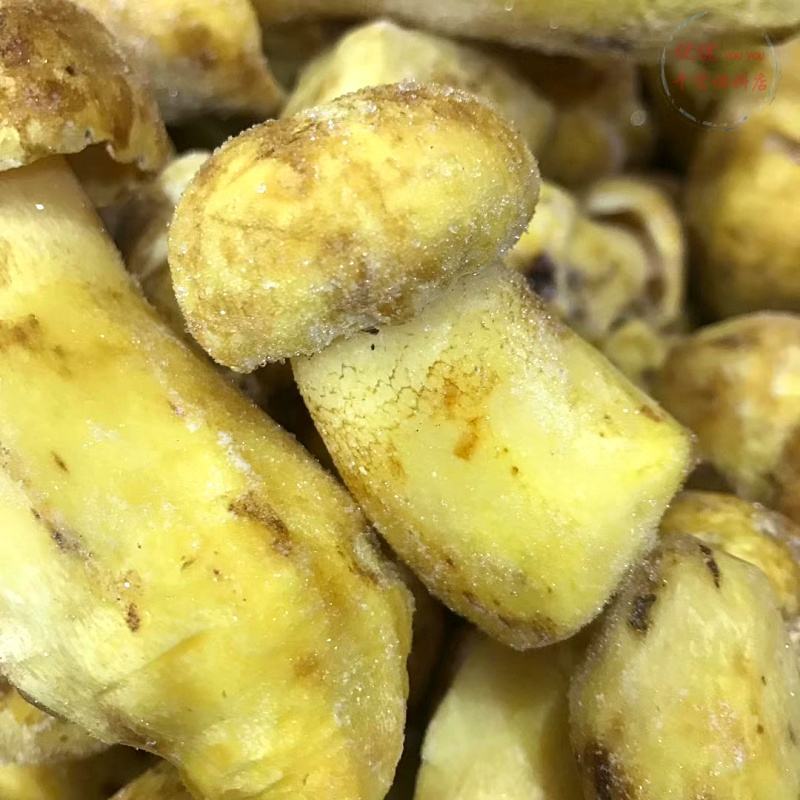 【速冻白葱菌】肉质厚实香味浓郁坏菌包赔