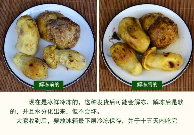 【速冻白葱菌】肉质厚实香味浓郁坏菌包赔