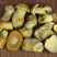【速冻白葱菌】肉质厚实香味浓郁坏菌包赔