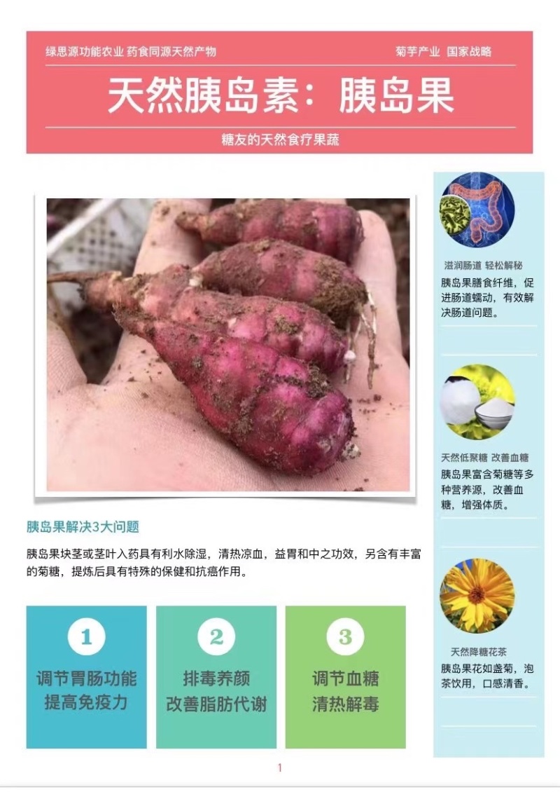 山东胰岛果红果菊芋红皮洋姜纺锤洋姜产地直发