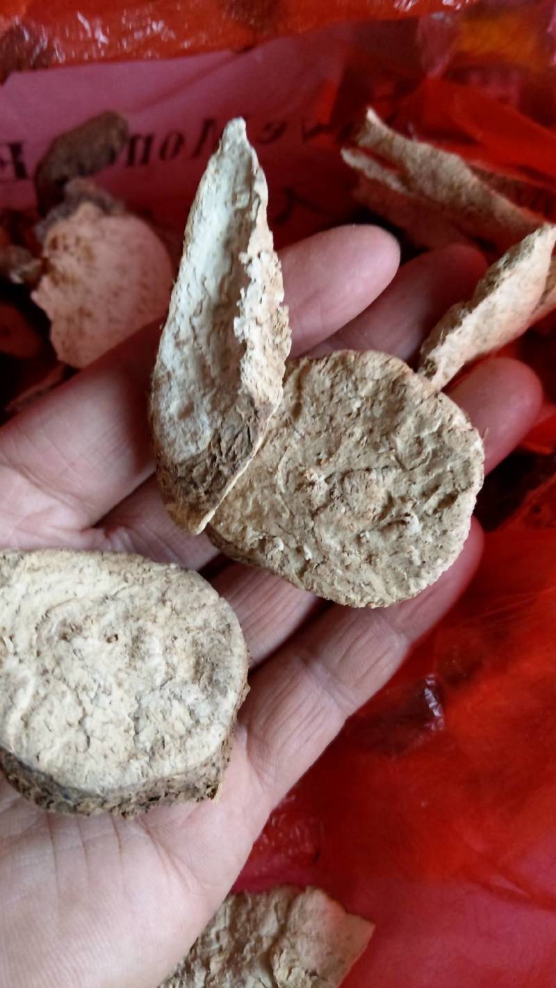 千金藤千金藤素白药子地不容山乌龟干片