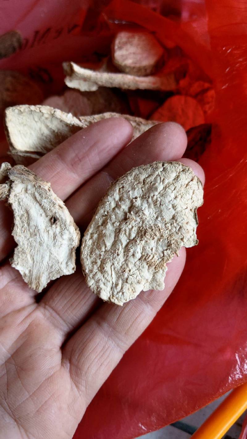 千金藤千金藤素白药子地不容山乌龟干片