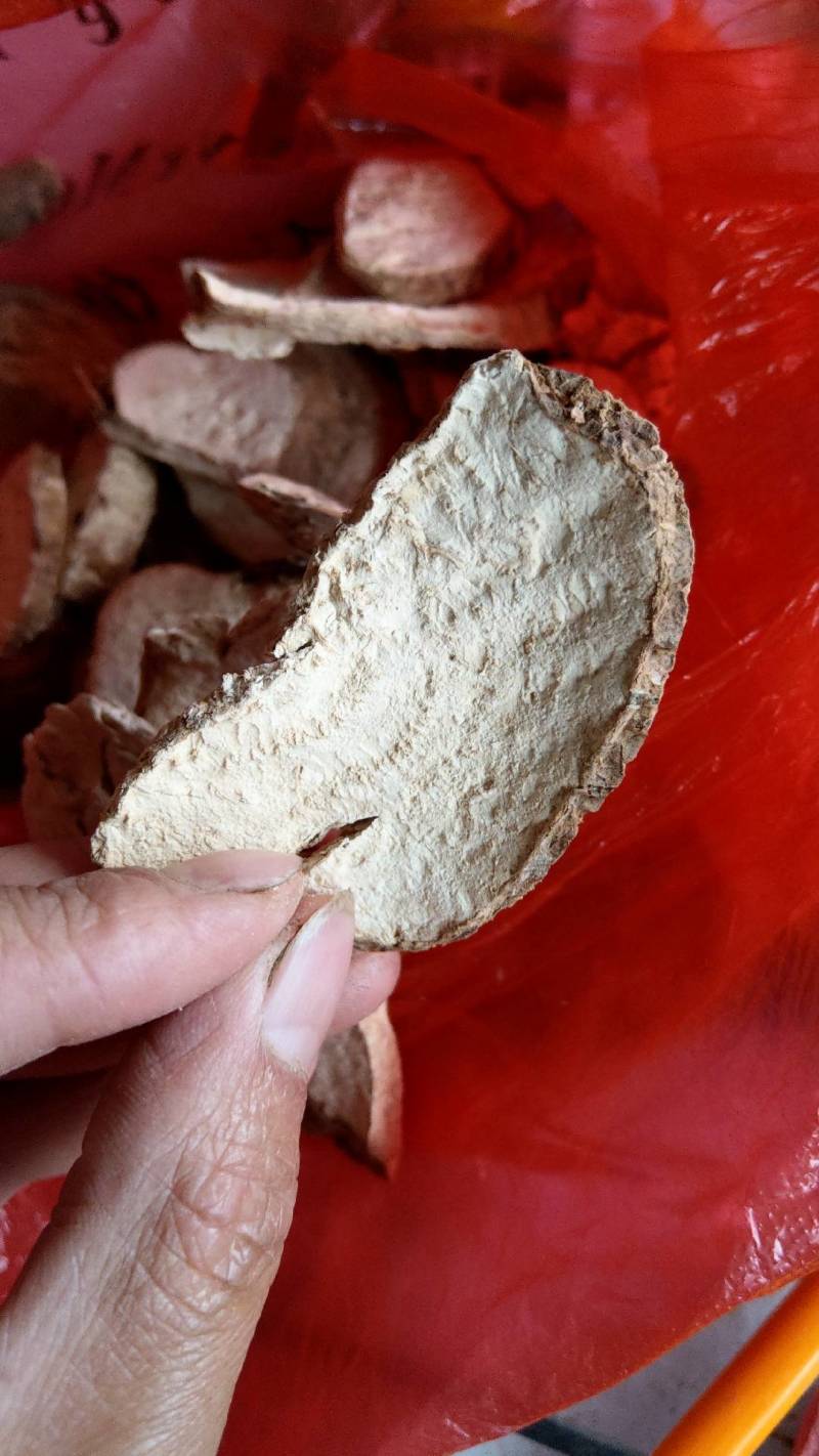 千金藤千金藤素白药子地不容山乌龟干片