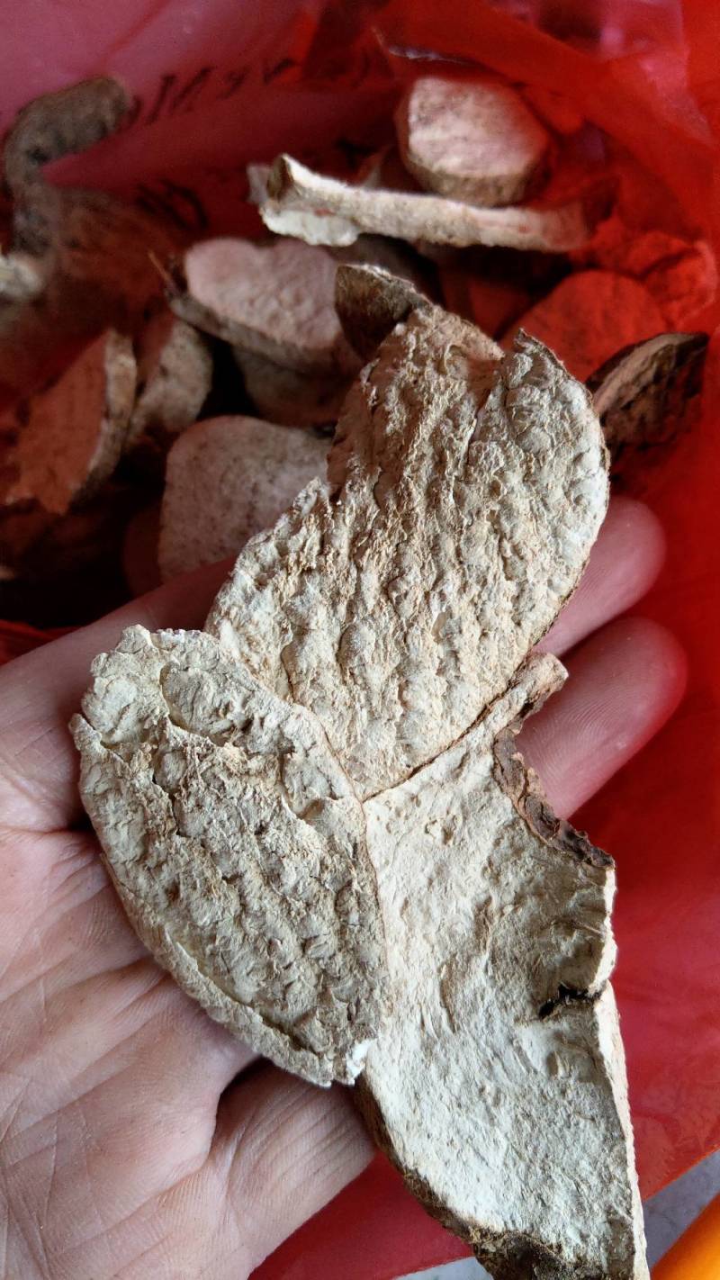 千金藤千金藤素白药子地不容山乌龟干片