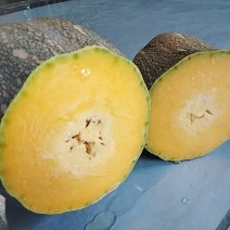 云南河口的高山金船密本老南瓜大量上市，味甜，口感绵软