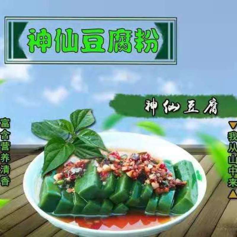 神仙豆腐树叶斑鸠叶豆腐观音豆腐干粉即食黄荊叶婢树叶仙叶汇