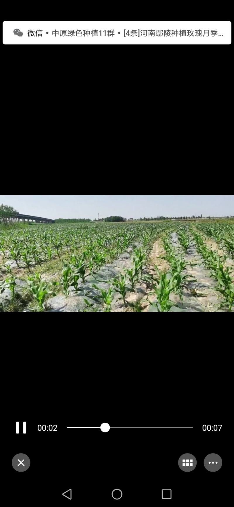 土地岀租河滩地，一马平川，10万亩，每年每亩500元。