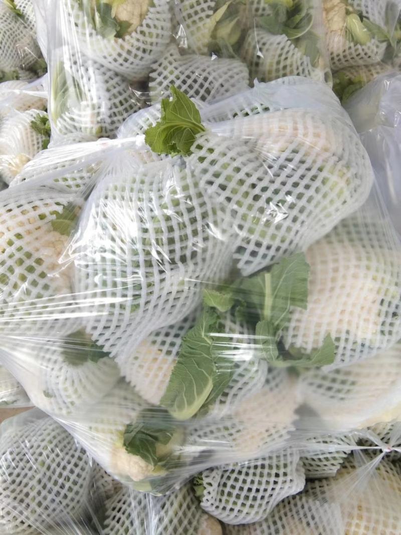 菜花
