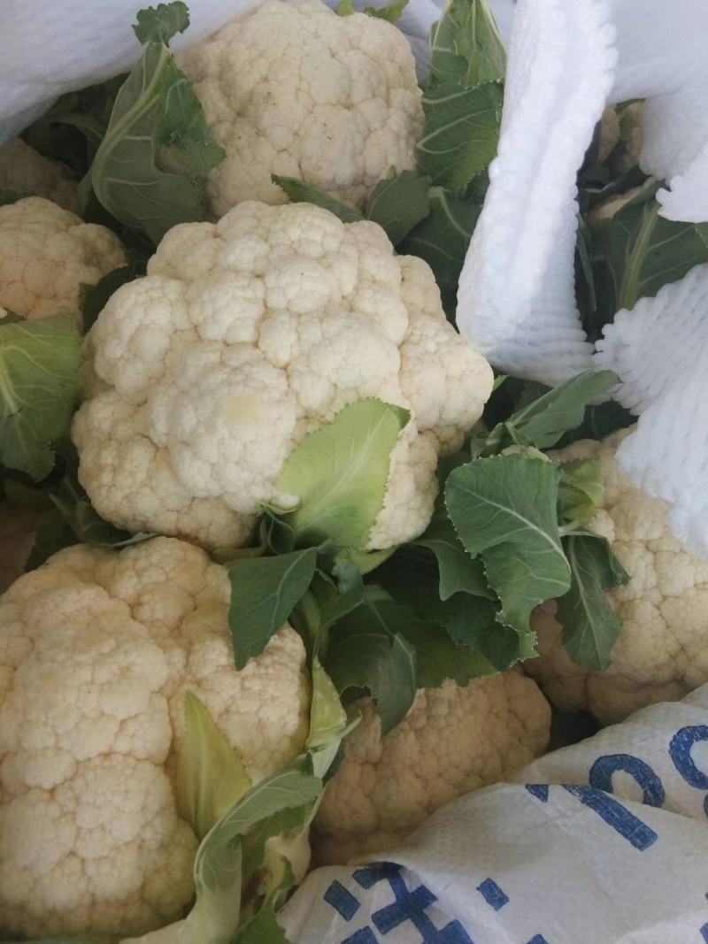 菜花