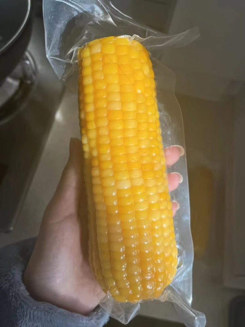 东北糯玉米，常温糯玉米，不用冷藏冷冻