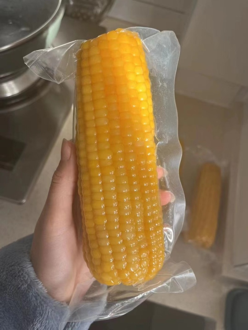 东北糯玉米，常温糯玉米，不用冷藏冷冻