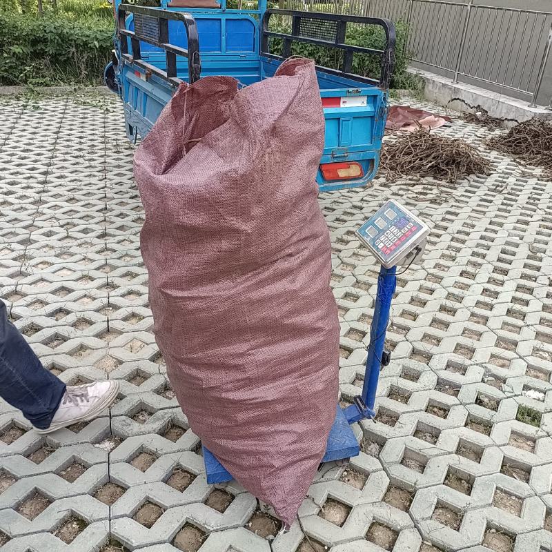 红花
