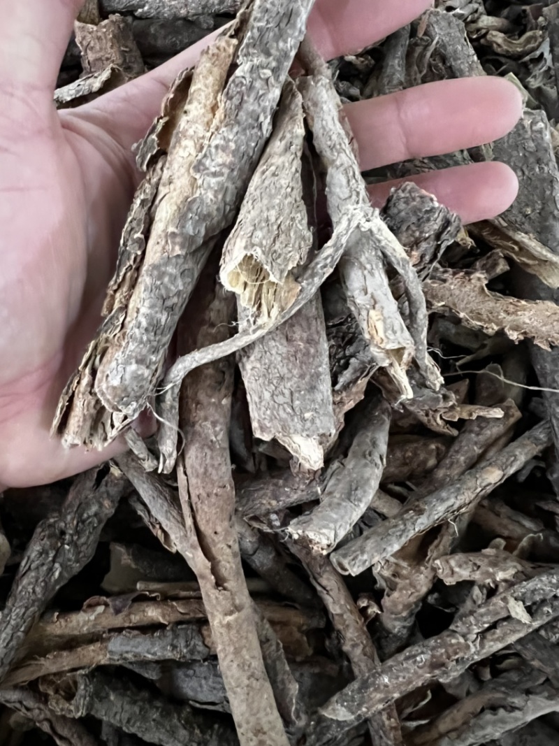 香五加皮。又名山五加皮没有树芯纯皮味道香醇无硫