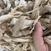 龙衣蛇蜕各种蛇衣干货各种规格
