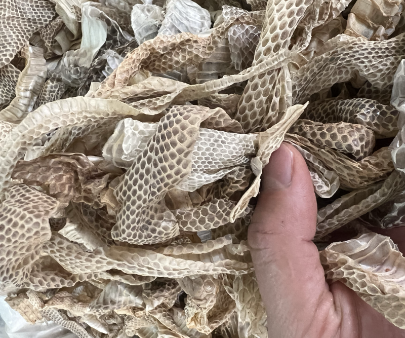 龙衣蛇蜕各种蛇衣干货各种规格