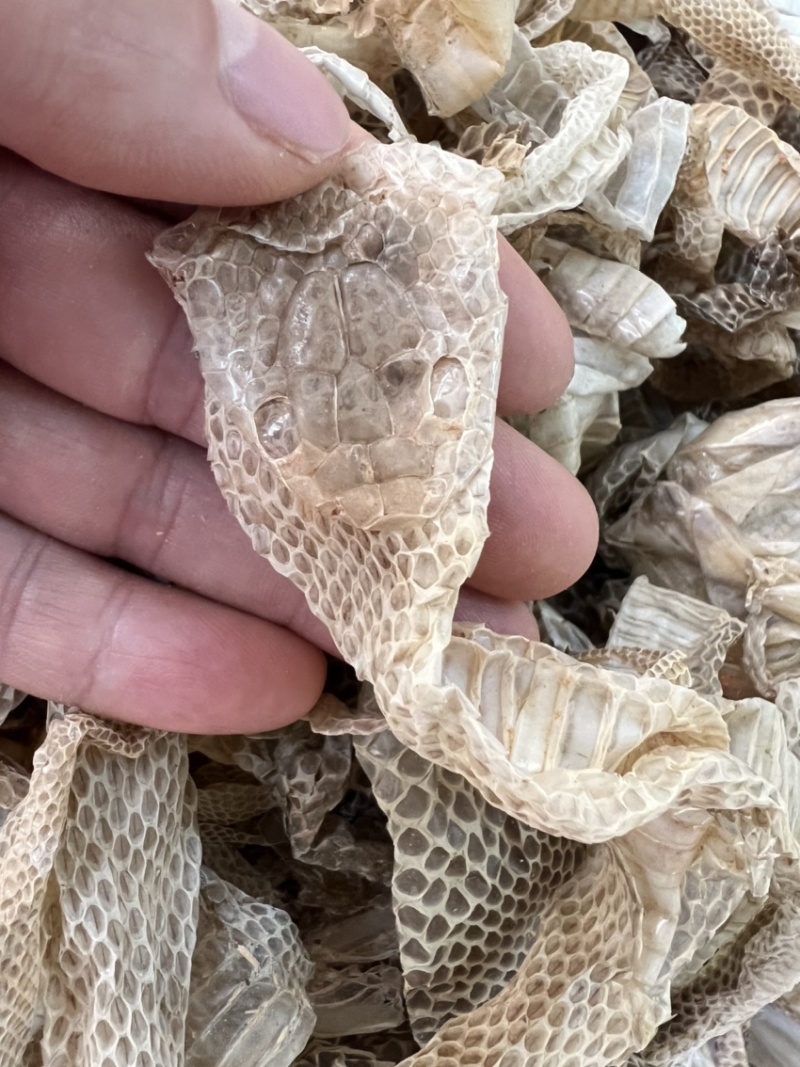 龙衣蛇蜕各种蛇衣干货各种规格