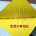 果实蝇诱粘板灭针蜂粘虫板金苍蝇大小实蝇果园瓜园菜园诱铺器