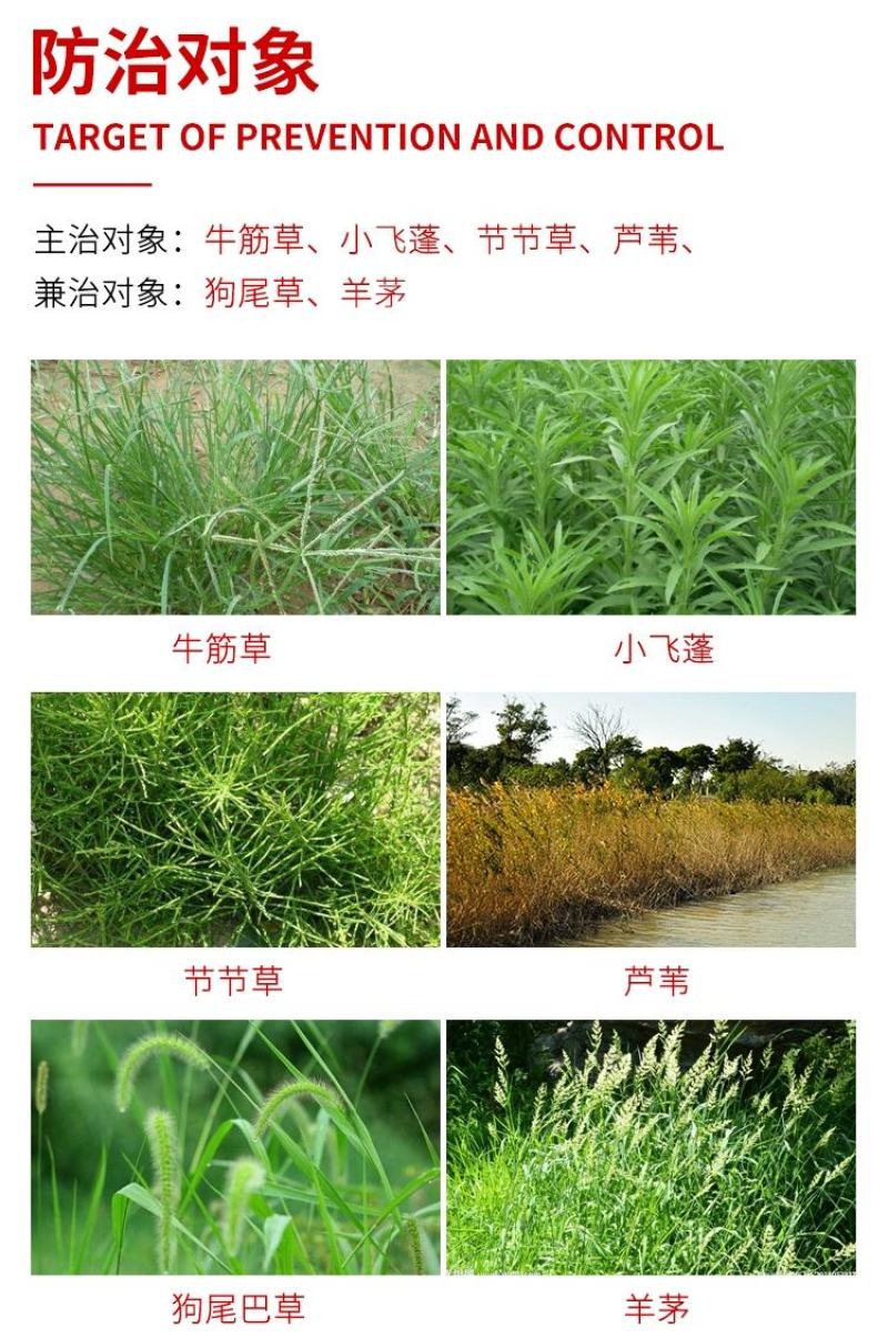 火雷攻21%精草铵膦草铵磷除草剂柑橘果园杂草除草剂牛筋草