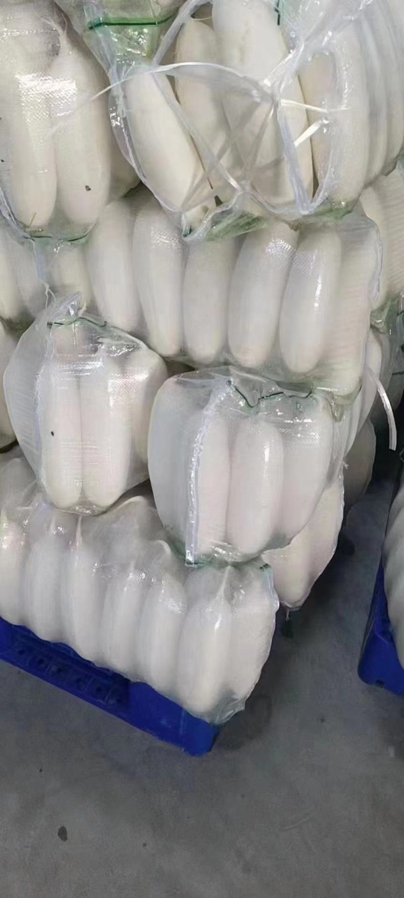 湖北白萝卜原产地发货一手货源批发品质保证价格美丽