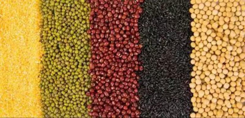 绿豆，毛绿豆，新季（国产和进口）绿豆，大中小粒都有现货，