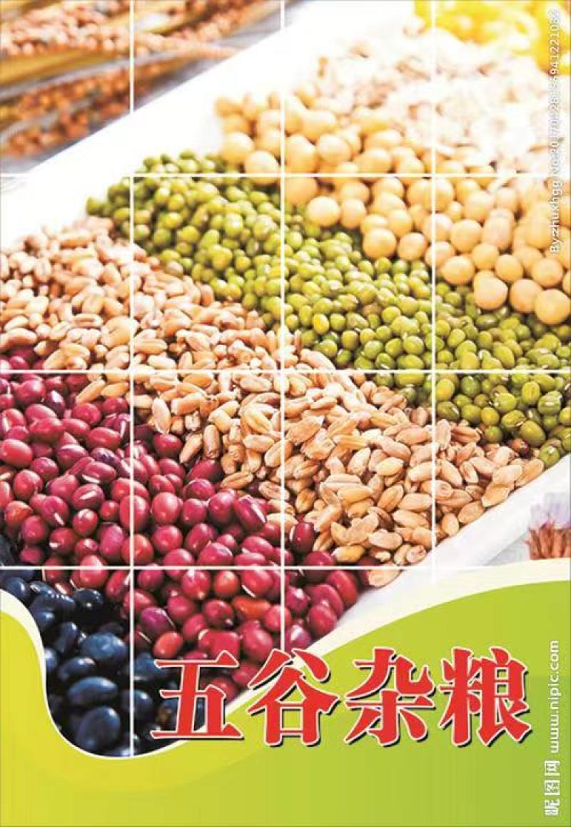 红豆掰，红小豆豆沙馅原料五谷杂粮袋装50斤