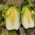 白菜黄心白菜无烧心质量好单颗3到4斤诚信商家
