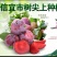 信宜市树尖上种植专业合作社，三华李
