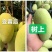 海南金煌芒果一件代发包邮源头供非贵妃小台水仙接直播团购